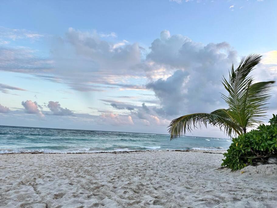 3 Bedroom Luxury Condo Next To Beach & Pools, Ac And Internet Akumal Exteriér fotografie